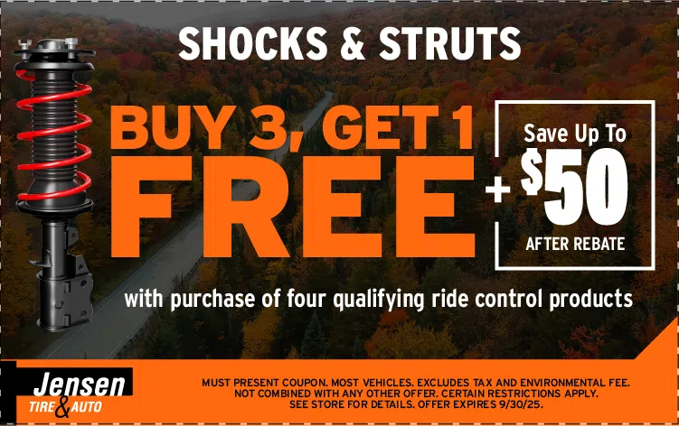 ShocksStruts